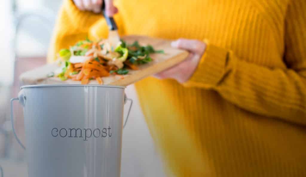 composting tips? The Plant Project