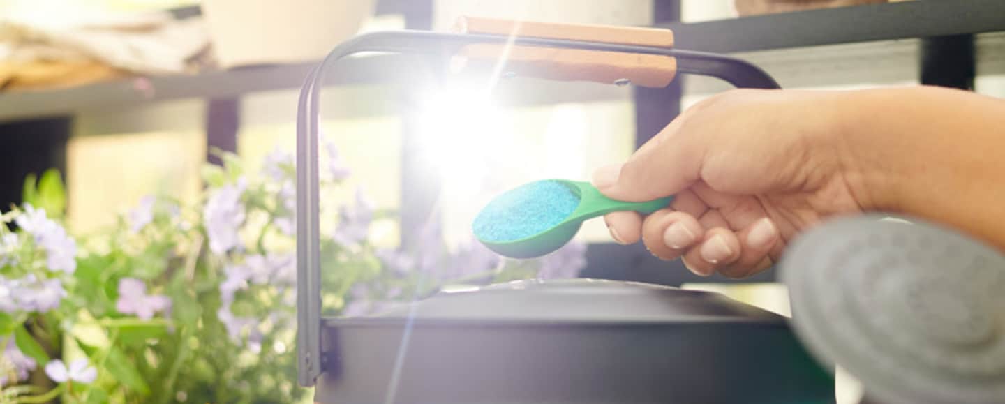 how (and when) to feed your houseplants The Plant Project