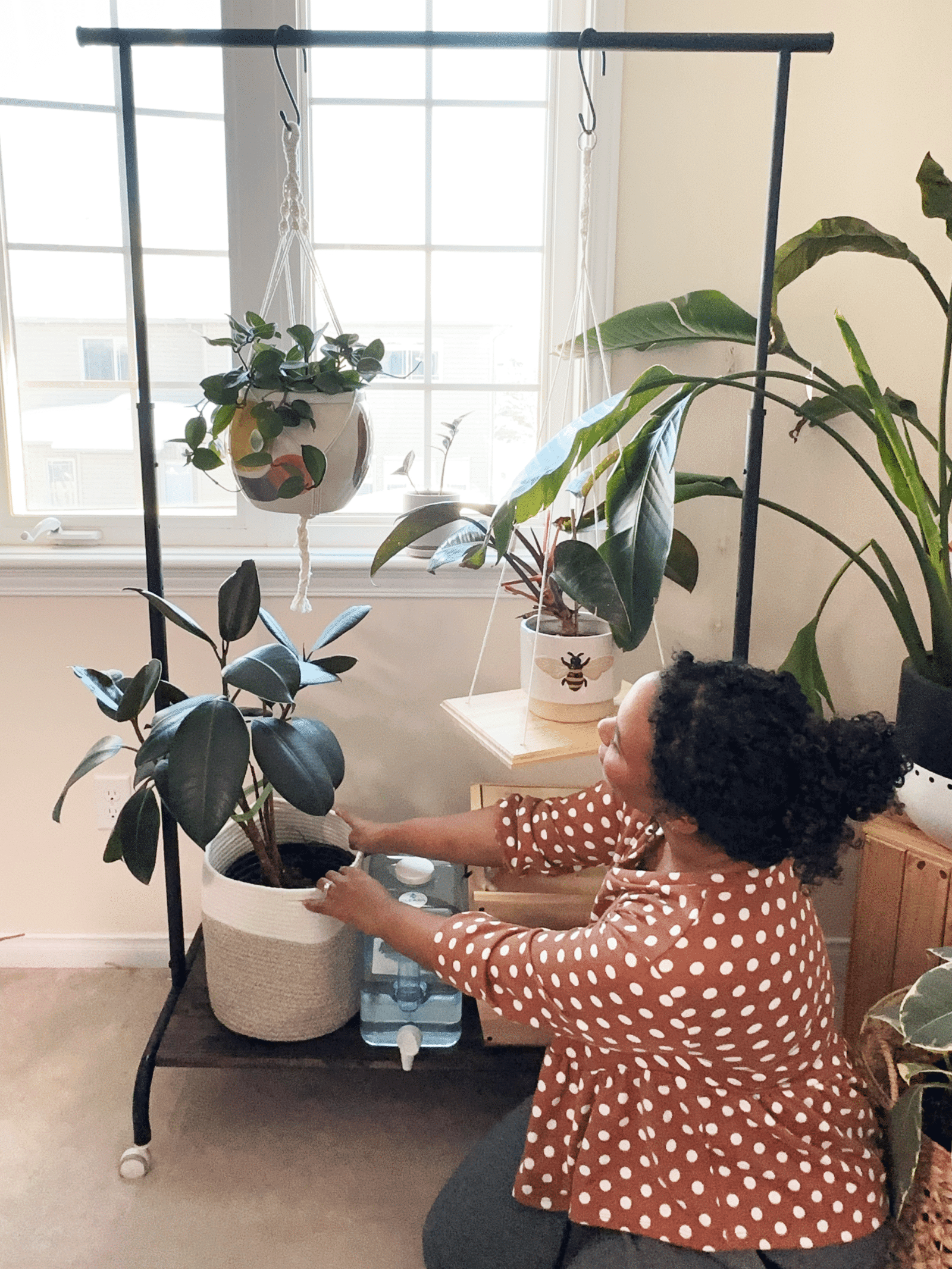 clothing rack with plant