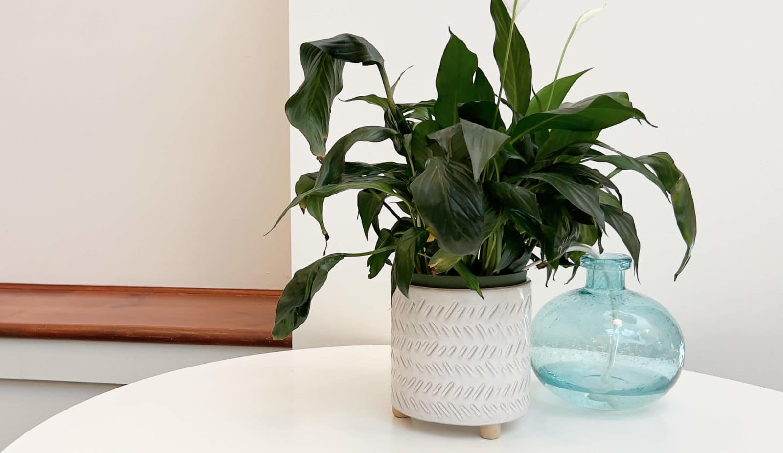 5 objets qui révolutionneront l'arrosage de vos plantes