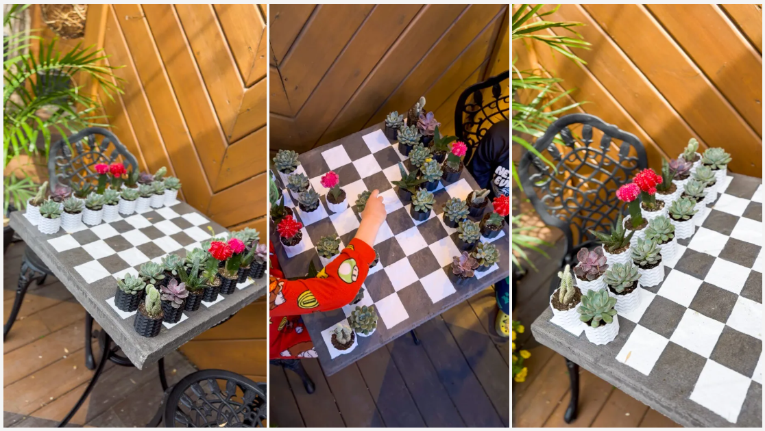 DIY Living Chess Set